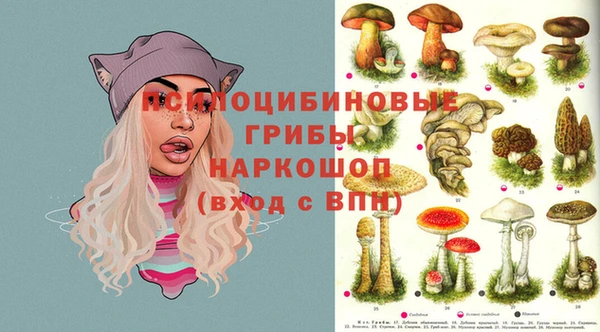 Альфа ПВП Арсеньев
