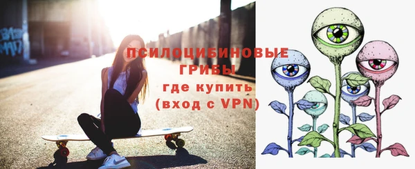 Альфа ПВП Арсеньев