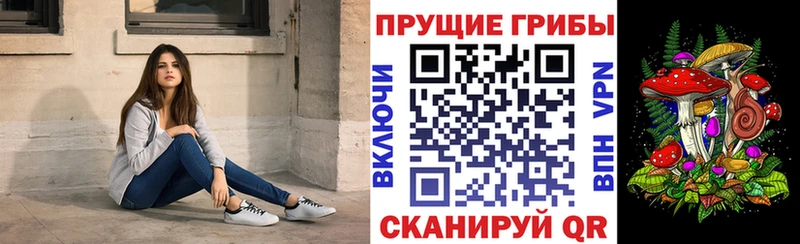 площадка клад  Балтийск  Псилоцибиновые грибы мухоморы  что такое  